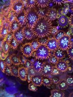 AE54076F-BA13-4216-8A0B-3B8CFE86FC7D.jpeg