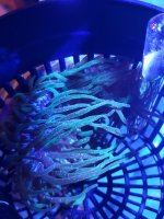20201021_191029.jpg