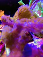 IMG_0726~2.JPEG