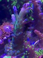 IMG_0721.JPEG