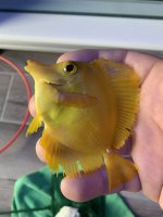 40281E3E-D7C6-43C2-BD6B-F016DA889C31.jpeg