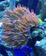 84069913-15DE-45EE-BC88-39D4B6211B86.jpeg