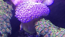 C66DF72E-0952-4CC8-968C-6D45812F1E6B.jpeg