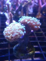 20201009_173849.jpg