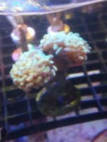 20201009_173545.jpg