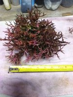 20201028_140442.jpg