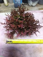 20201028_140446.jpg