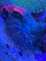 F30E5767-FF67-44DE-B4F6-A5FA9C67A232.jpeg