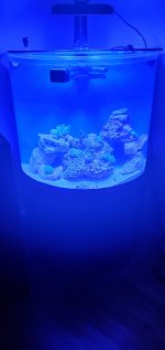 20201029_202119.jpg