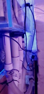 20201025_232249.jpg