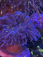 A1B1A39B-D552-4D41-95AB-A2677E1ED5F9.jpeg
