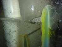 yellow gunk on silicone close up.JPG