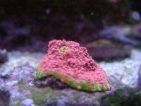 DSCN0489-2.jpg
