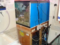 fish tank (2) 021.jpg