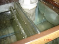 DSC00482.JPG