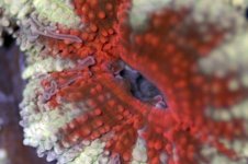 DSC_0212.jpg