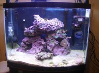 FTS Jakes reef.jpg