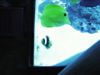 Thanksgiving 11-22-07 026.jpg