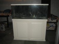 Fish Tank 002.jpg