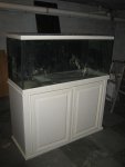 Fish Tank 003.jpg