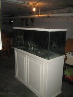 Fish Tank 004.jpg