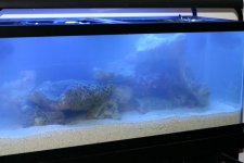 IMG_0598.jpg