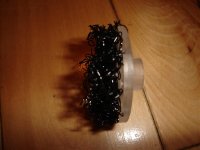 Mesh Wheel Mod! 003.jpg