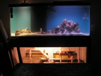 Live Rock and Live sand 030.jpg