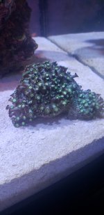 20201031_155155.jpg