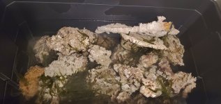 20201103_202953.jpg