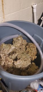 20201103_203025.jpg