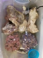 20201105_080412.jpg