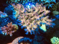 B6B09D34-8878-4F2B-B469-8925BAFD7B8F.jpeg