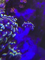 37B60126-1BDE-4EAF-9E78-791FBF4D9535.jpeg