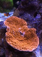 E496C1B3-0503-4EE9-B0C4-D9963703CC66.jpeg