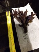 20201113_210747.jpg