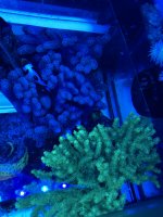 EFCEA5D7-1479-44D4-9BB6-BB27B211A9E7.jpeg
