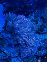 B08235C4-38C2-4DE4-A299-CC7C5CB1AC53.jpeg