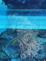 1607E847-542C-468A-AE1F-0394AF3E5612.jpeg