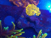 IMG_20201118_134341762~2.jpg