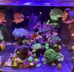C563E518-110E-40F7-BD0F-9F7A17180665.jpeg