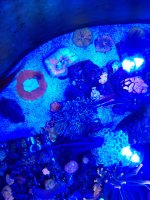20201120_103910.jpg