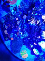 20201120_103926.jpg