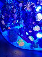 20201120_103934.jpg
