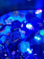 20201120_103948.jpg