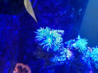 20201120_104007.jpg
