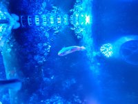 20201120_104952.jpg