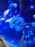 20201120_105014.jpg