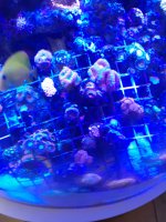 20201120_105025.jpg