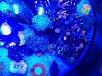 20201120_105433.jpg
